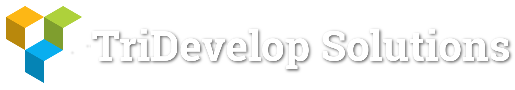 TriDevelop Solutions